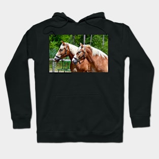 "Horse Duo - Profile" Hoodie